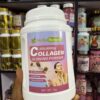 Collagen powder